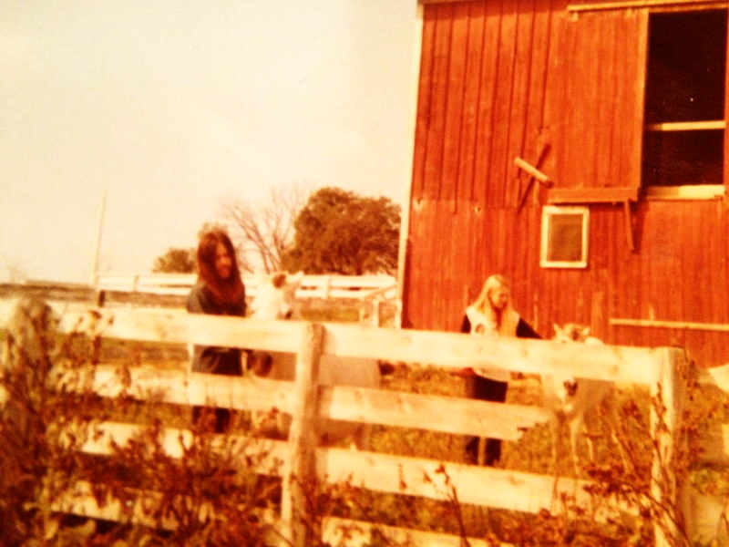 Alice Cooper Band Barn - Cindy Dunaway With Horse From Ron Volz (newer photo)